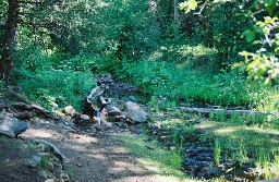 Water source at Black Mountain